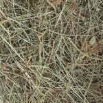 fieno